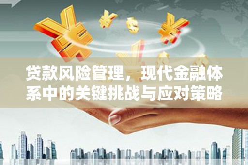 大祥贷款风险管理，现代金融体系中的关键挑战与应对策略