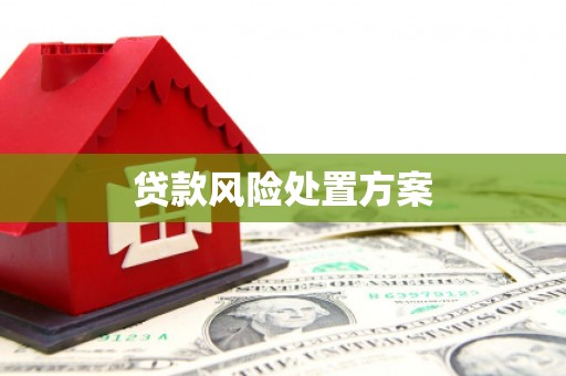 大祥贷款风险处置方案