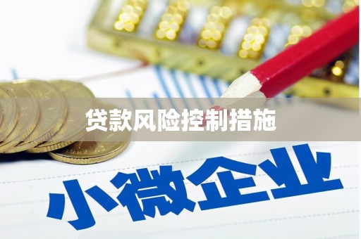 大祥贷款风险控制措施